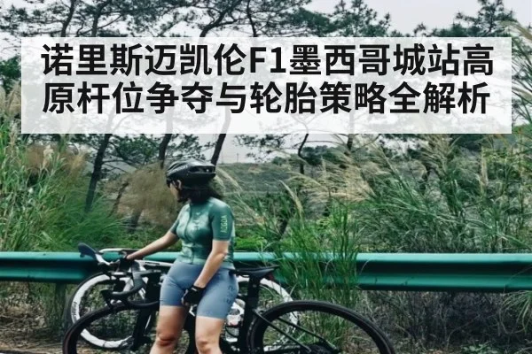 诺里斯迈凯伦F1墨西哥城站高原杆位争夺与轮胎策略全解析